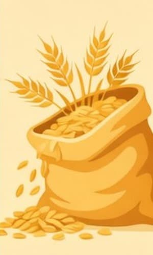 سبوس فرآوری شده